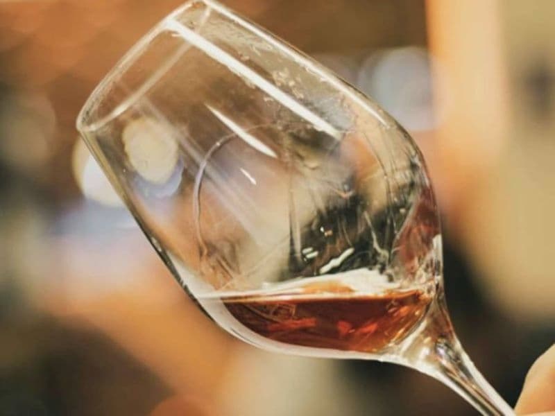 Oenologie, les bases de la dégustation à Biarritz (64)