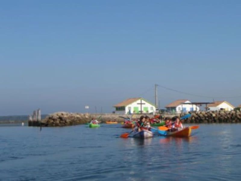 Balade botanique en kayak aux Prés Salés du Bassin d'Arcachon