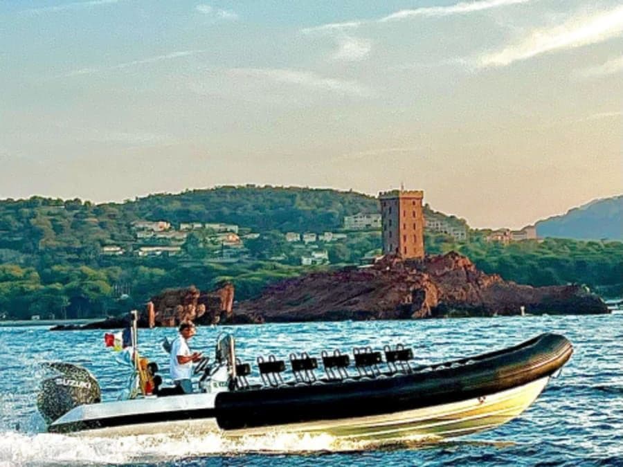 Balade Dauphins et cétacés en semi-rigide depuis Saint-Raphaël