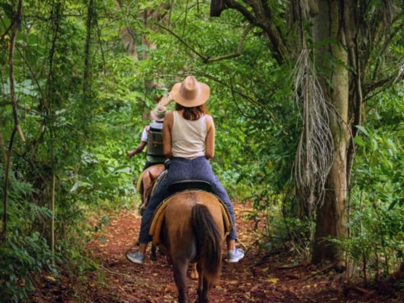 Balade découverte 1h à cheval proche d'Annecy (74)