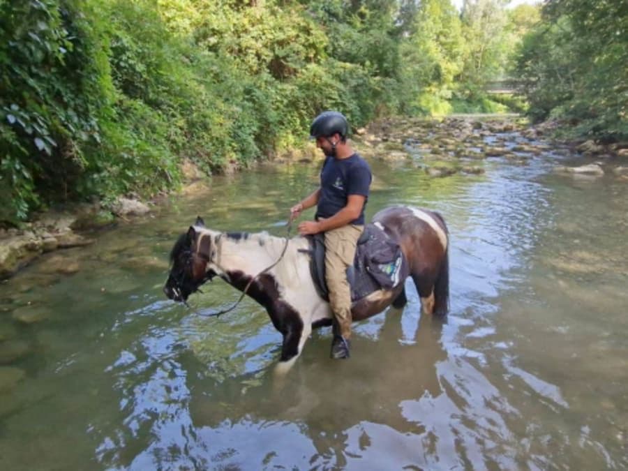Balade aventure 2h à cheval proche d'Annecy (74)