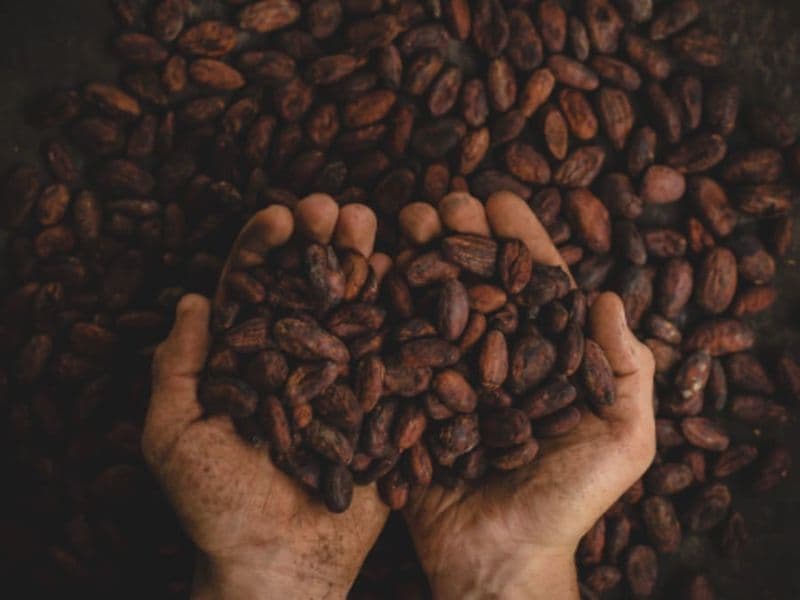 Atelier vins et chocolats au Musée du Vin et du Négoce (33)