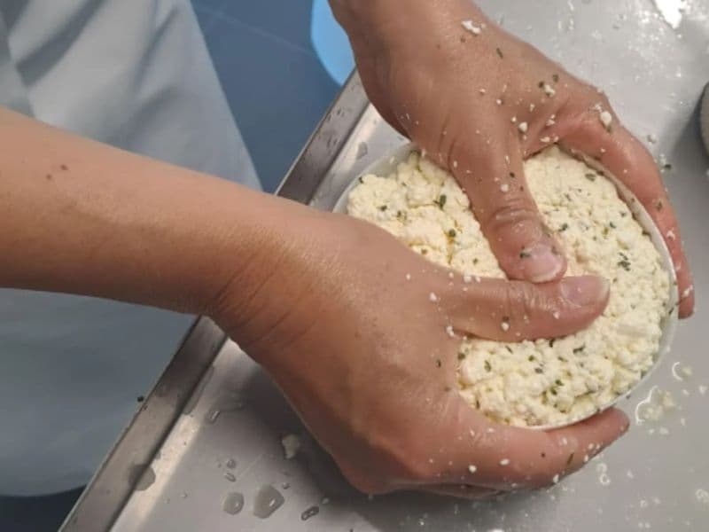 Atelier fabrication de fromage à Rennes (35)