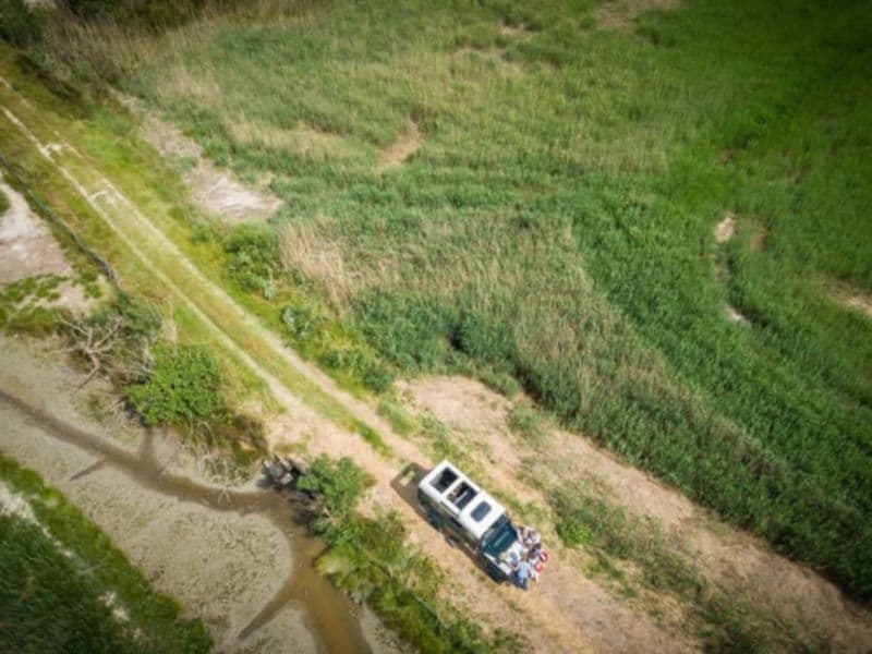 Safari demi-journée en 4x4 au Grau-du-Roi (30)