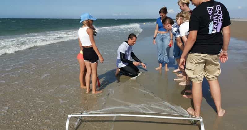 Zeeland Strand safari met visnet NL