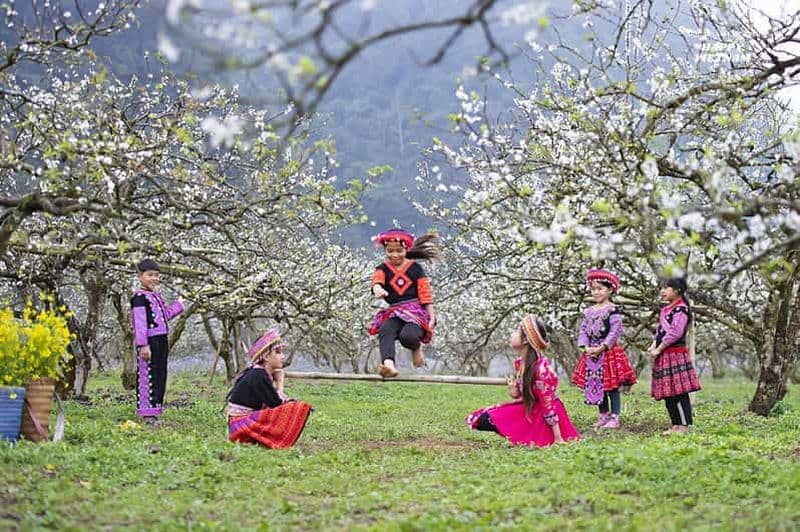Les points forts du Vietnam en 15 jours : Du nord au sud par avion