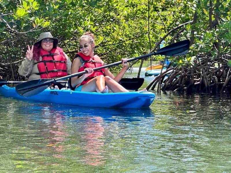 Miami : Location de paddle board ou de kayak à Virginia Key