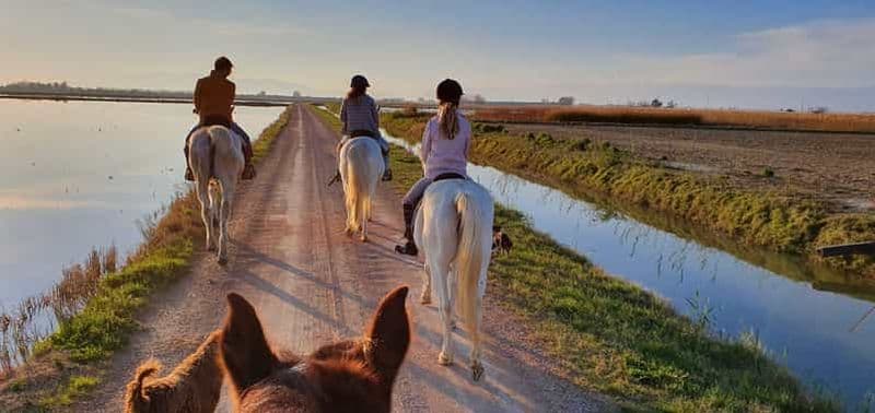 Parc national du Delta de l'Ebre : Visite guidée à cheval