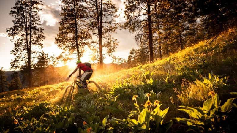 Lisbonne : Circuit en VTT dans le parc de Monsanto avec formation