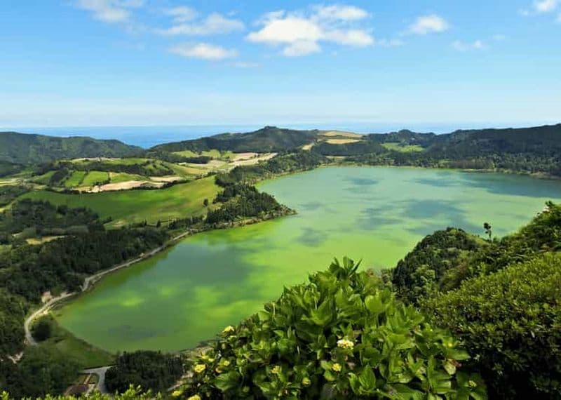 Furnas : Plantations de thé, lac et volcan : visite guidée