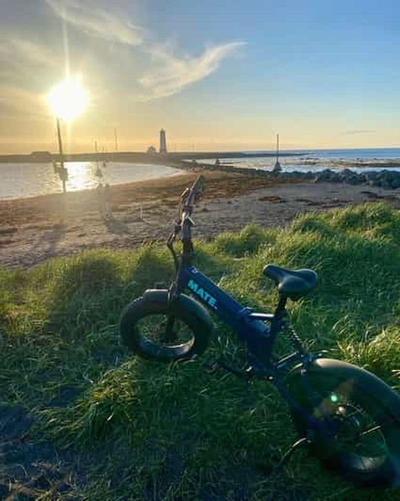 Reykjavik : circuit en vélo électrique dans la nature, sur la côte et en ville