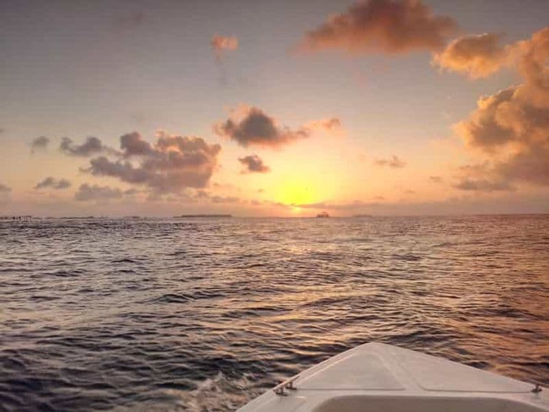 Maldives : croisière au coucher du soleil avec observation des dauphins