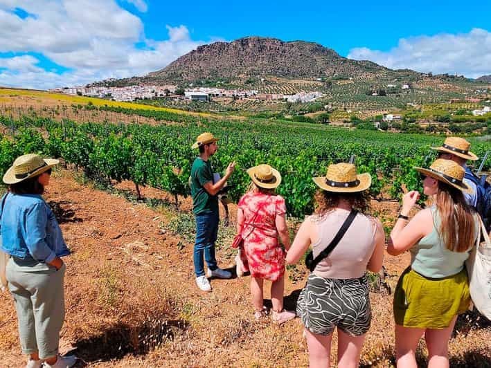 Malaga : Village blanc, vignoble et dégustation de vin