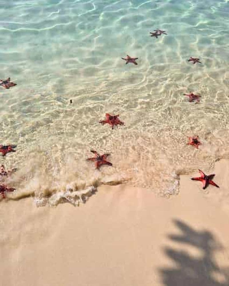 Phu Quoc : Kayak avec Starfish Beach et visite d'une ferme apicole