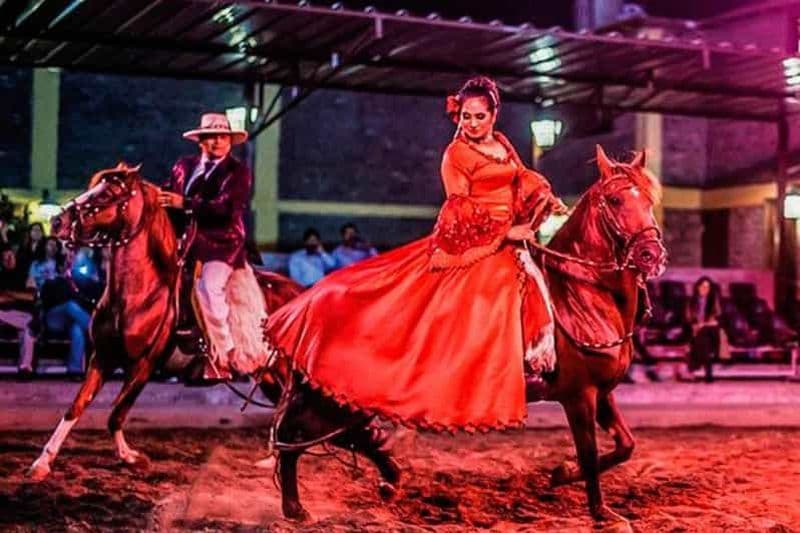Lima : dîner et spectacle de chevaux Paso