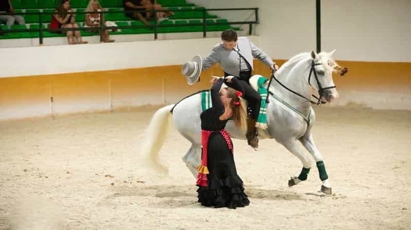 Torremolinos : Spectacle équestre, option dîner, boissons et flamenco