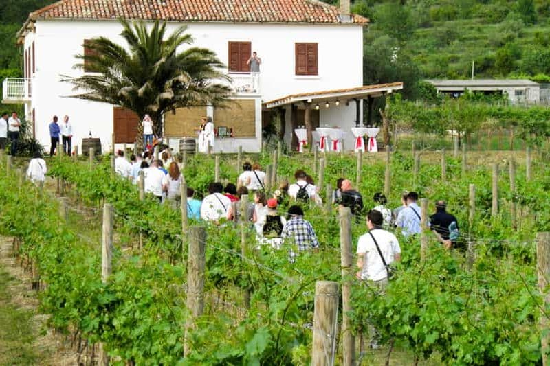 Vallée de Konavle : Visite avec dégustation de vins au départ de Dubrovnik