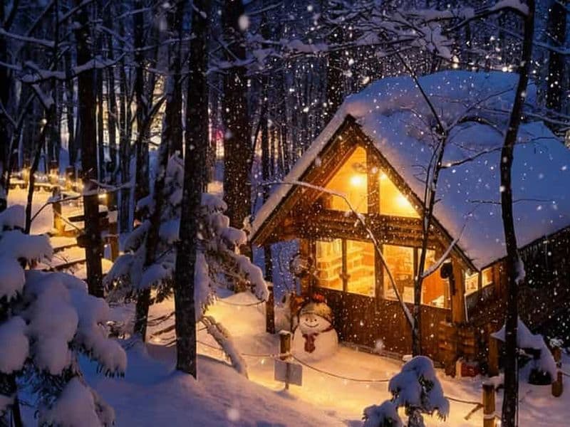 Billet Visite d'Hokkaido : zoo d'Asahiyama, cascades de Biei et terrasse de Ningle