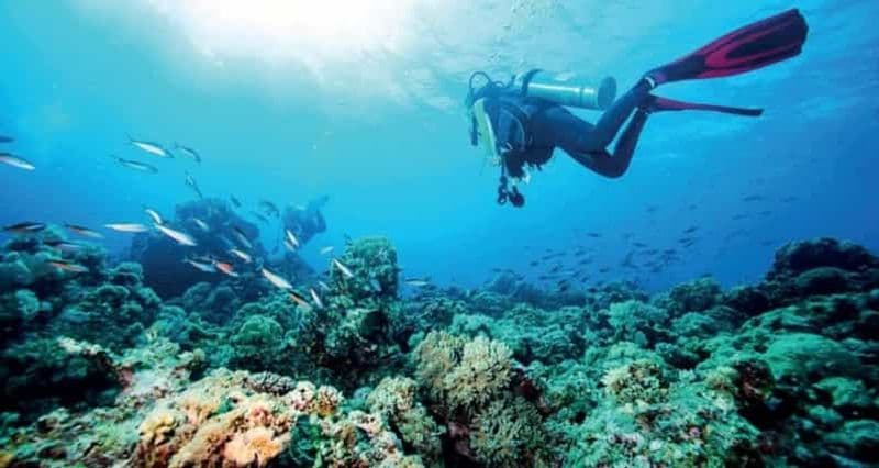 Plongée sur la plage de Jeddah (avec licence)