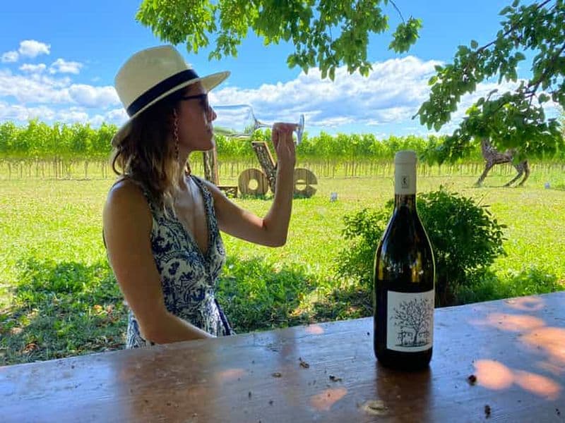 Aquileia : Visite et dégustation de vignobles