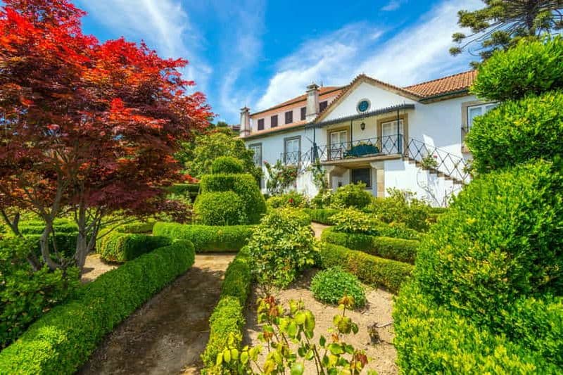 Vallée du Douro : visite de la Quinta Santa Júlia, dégustation de vins et déjeuner