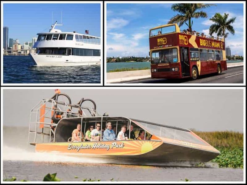 Miami : Everglades, croisière et visite en bus à toit ouvert