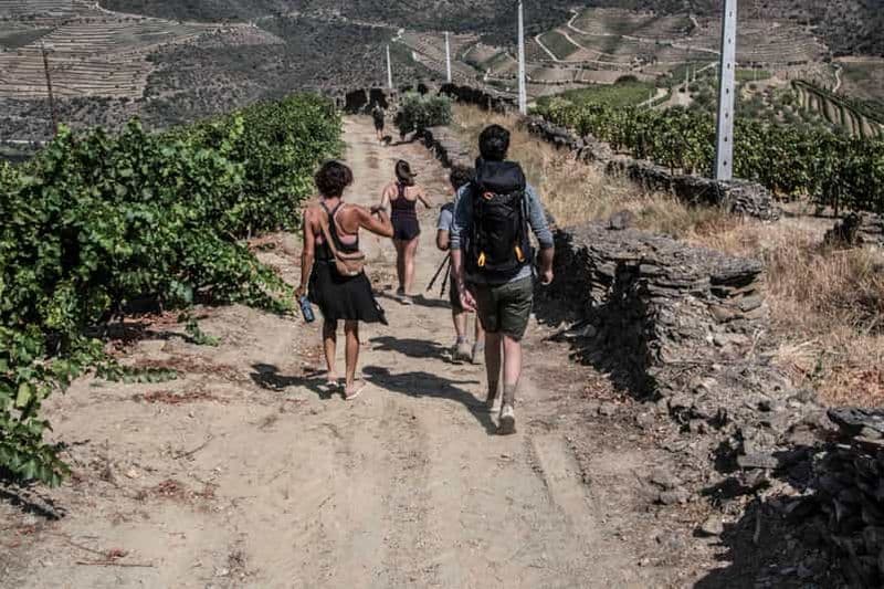 Pinhão : Randonnée guidée dans la vallée du Douro