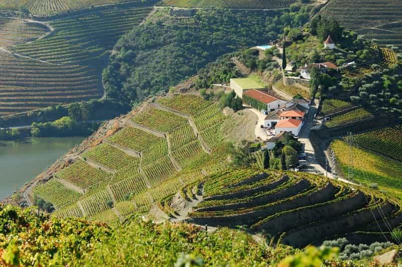 De Peso da Regua : Visite de la vallée du Douro
