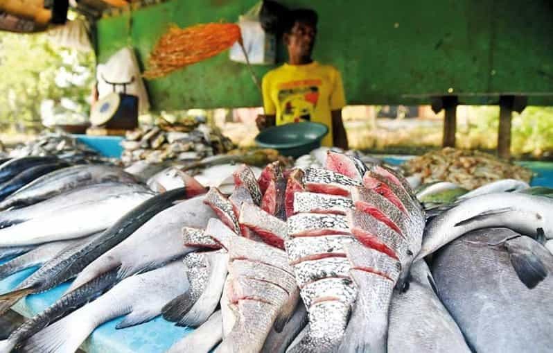Cours de cuisine maison à Colombo et visite du marché local