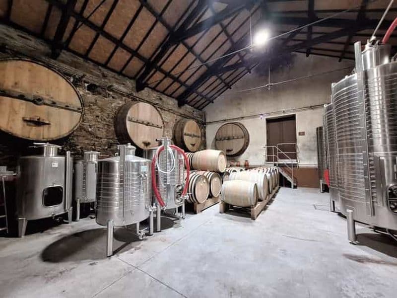 Vallée du Douro : 2 caves, déjeuner et bateau