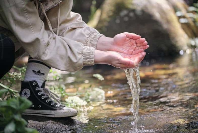 Randonnée dans la nature : Sentiers guidés passant par Marvão
