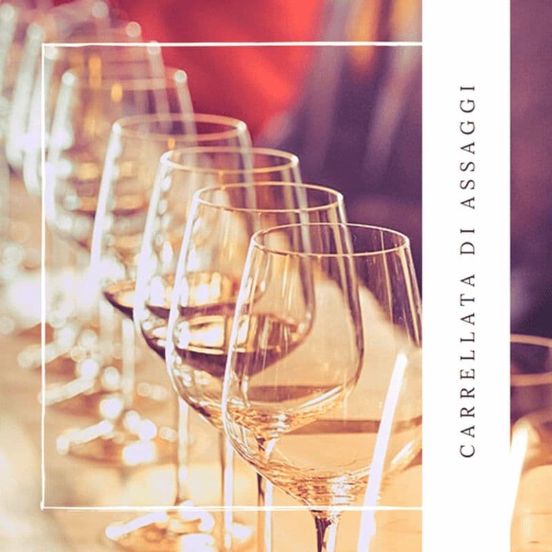 Dégustation guidée de vins de la région