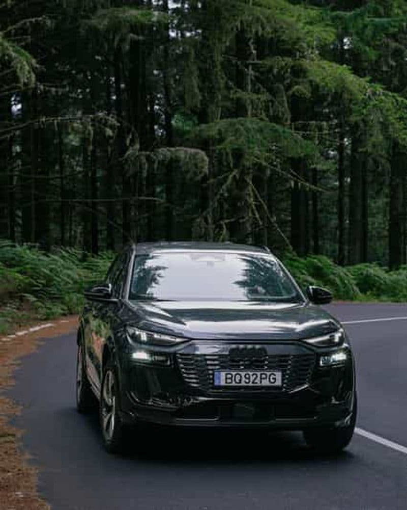 Madère : Randonnée Privée et Expérience en Bateau avec Déjeuner