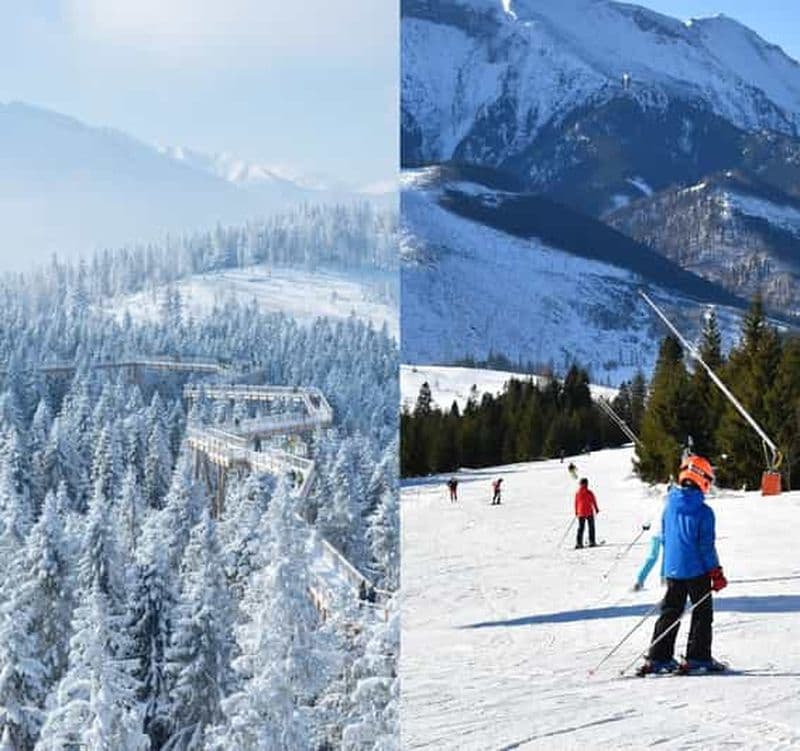 Depuis Cracovie : Marche dans les arbres en Slovaquie et forfait de ski de 4 heures