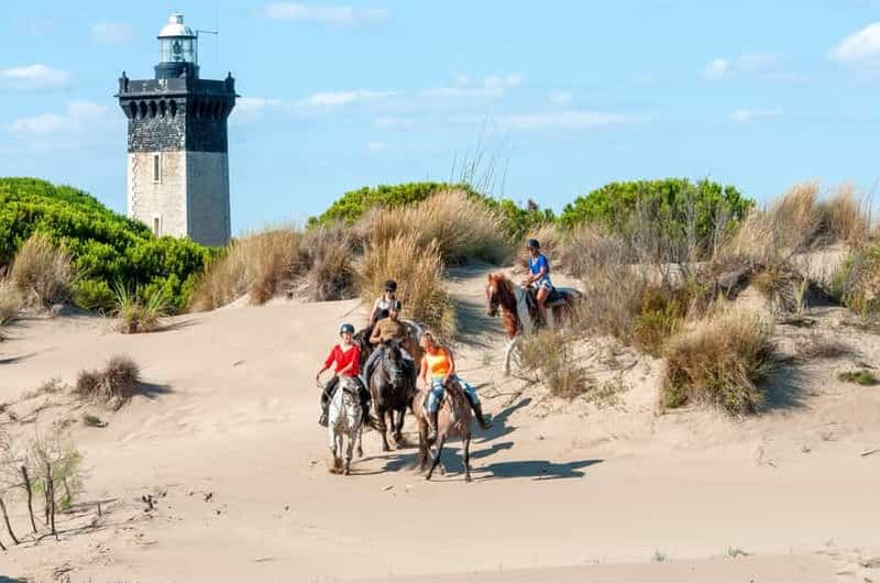 Grau du roi : Promenade à cheval en Camargue