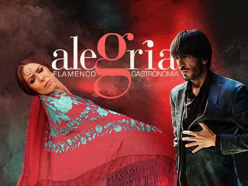 Billet Malaga : spectacle de flamenco en direct au Flamenco Alegría