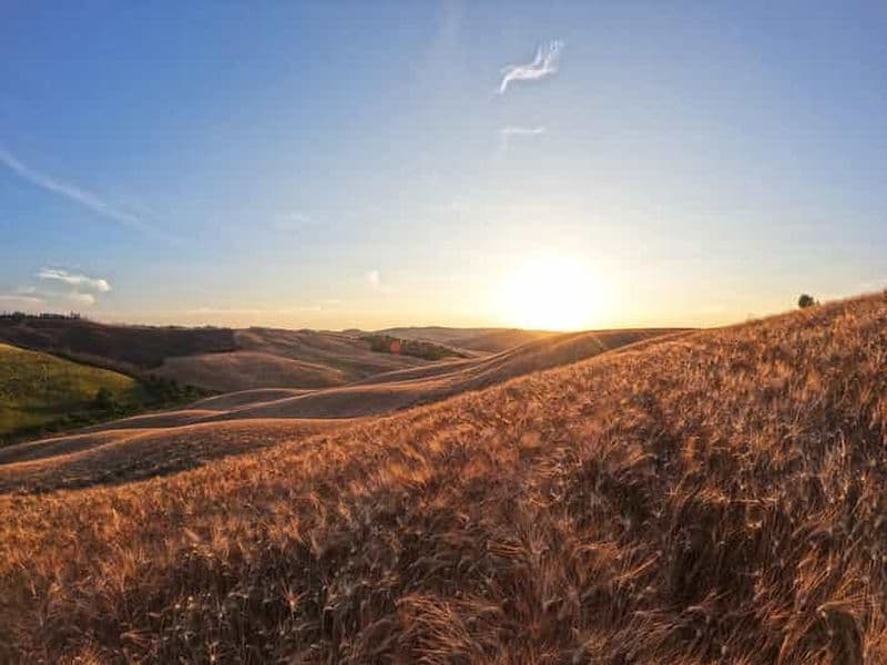 Expérience avec les oiseaux de proie en Toscane