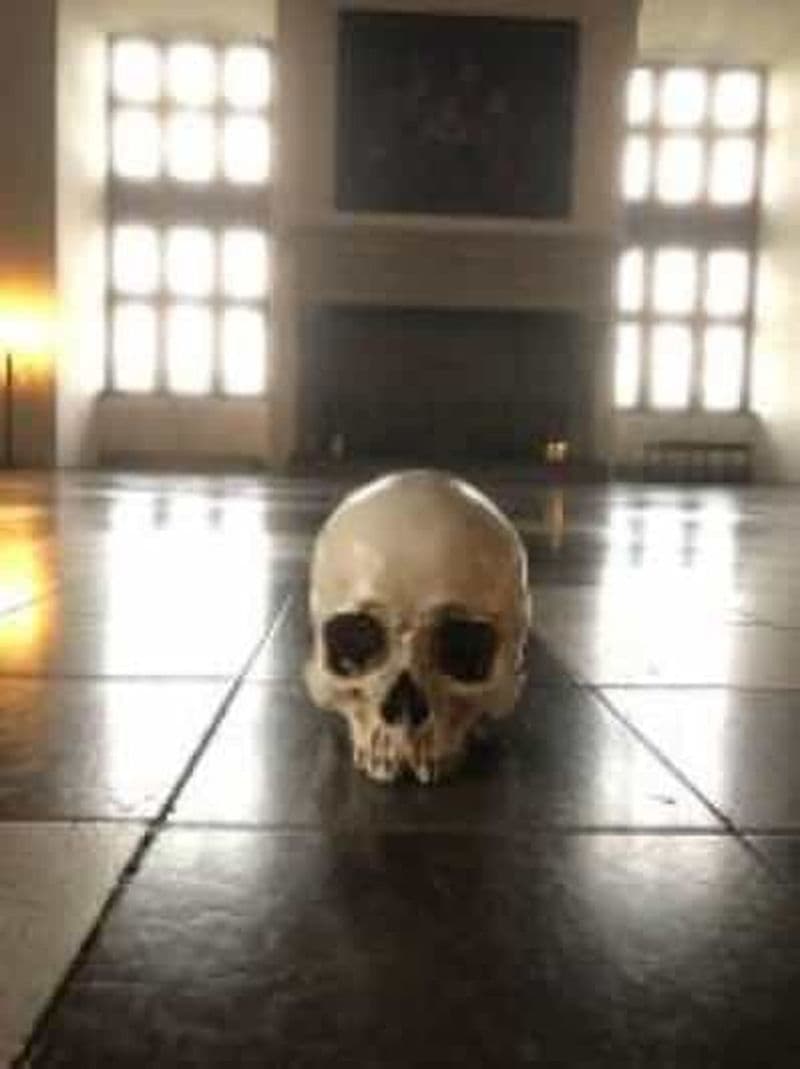 Visite facile du château de Kronbog et du palais de Frederiksborg W