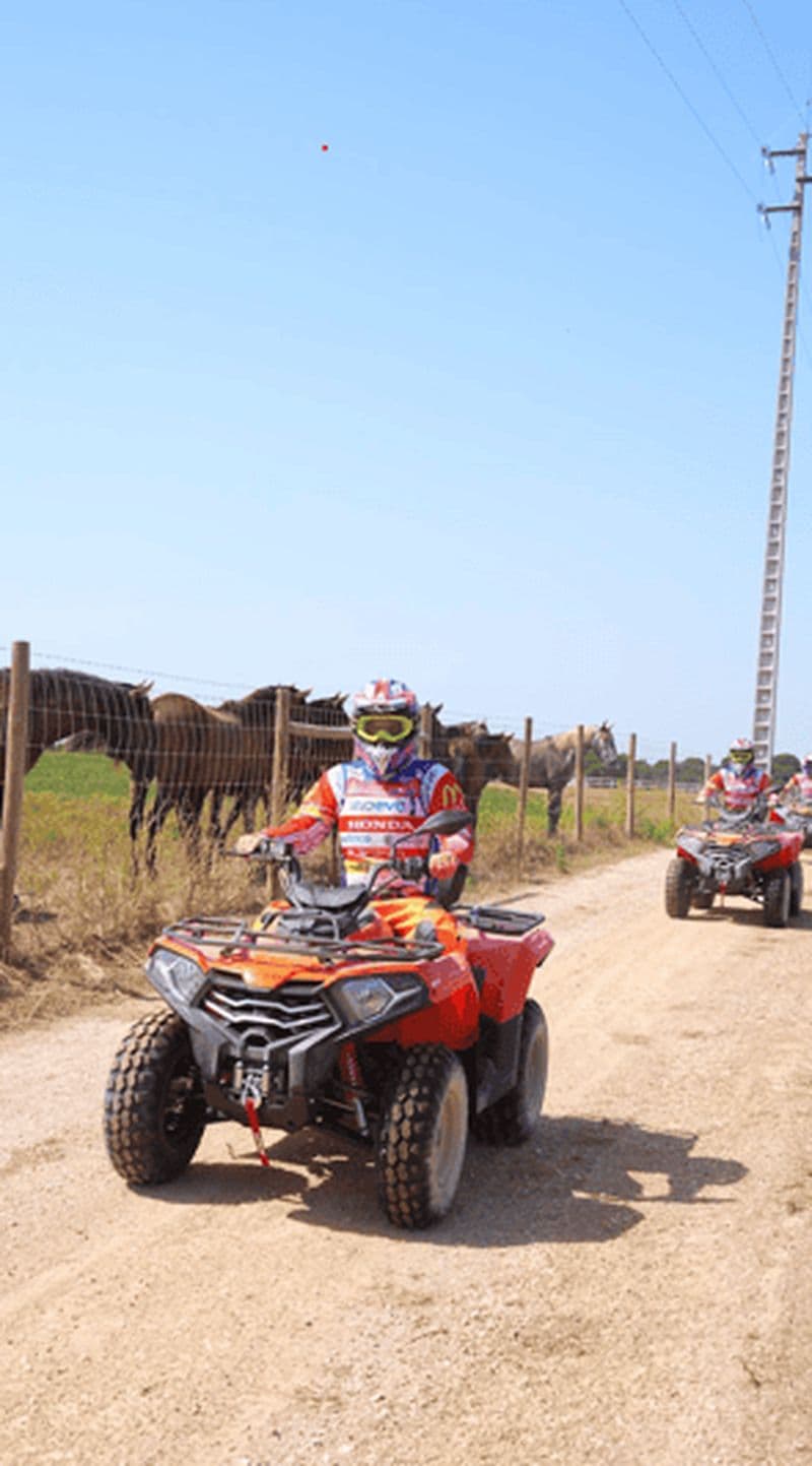 Visite guidée en quad pour 1 personne - Carregado, Lisbonne