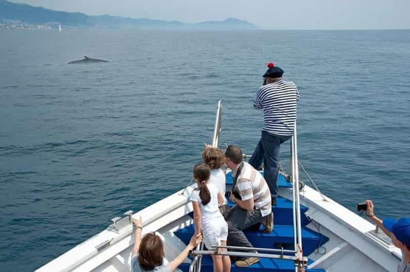 Aquarium de Gênes : billet et croisière aux baleines