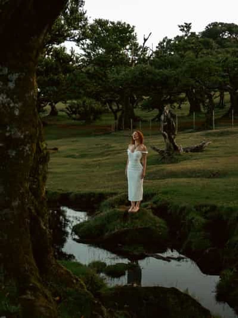 Madère : Forêt de Fanal, Piscines de Lave et Dégustation de Vin