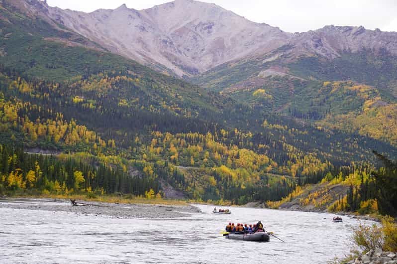 Nature sauvage : excursion de rafting de classe I à III dans le parc national de Denali