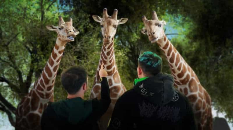 Copenhague : Hologram Zoo Africa Adventure 40 minutes