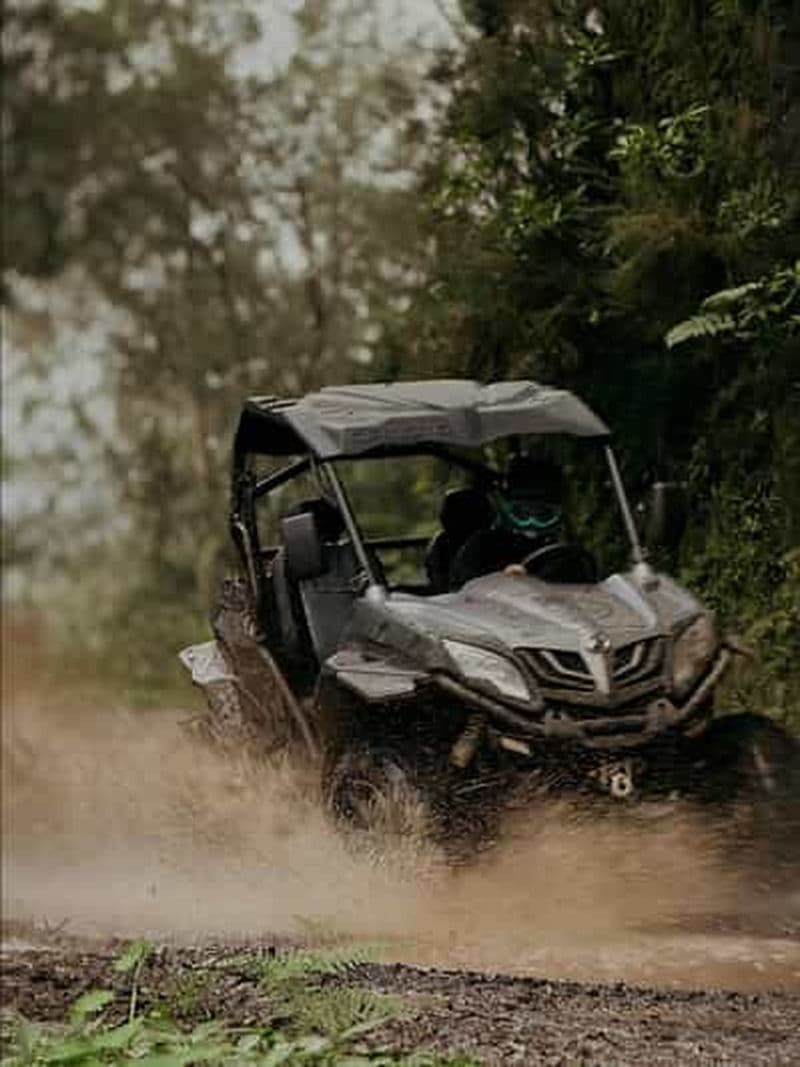 Madère : Aventure en buggy - Expérience épique hors-piste