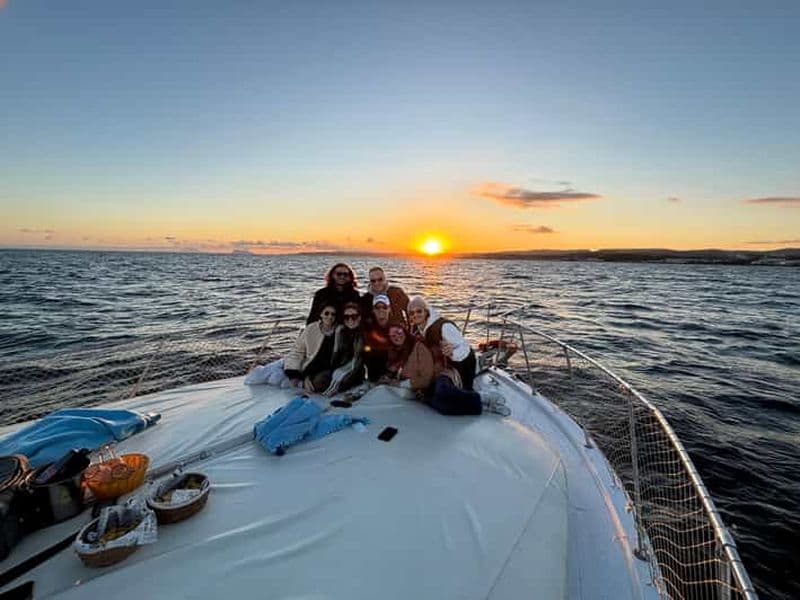 Estepona : Croisière de recherche de dauphins en mer avec boissons et collations