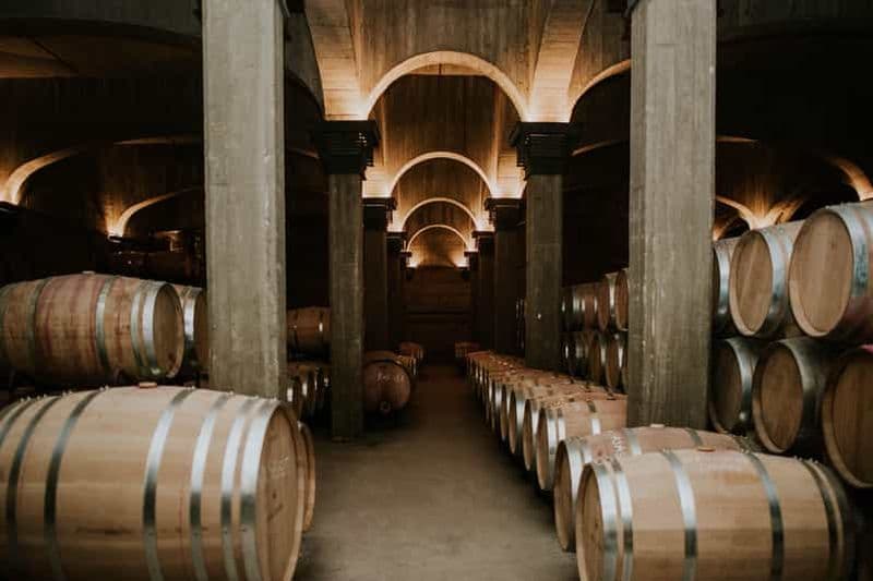 Logroño : Visite guidée avec dégustation de 3 vins et apéritif à la Viña Ijalba.