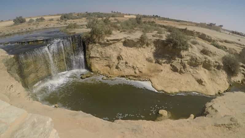 Le Caire : Fayoum, Wadi El Rayan et Wadi al Hitan en 4x4