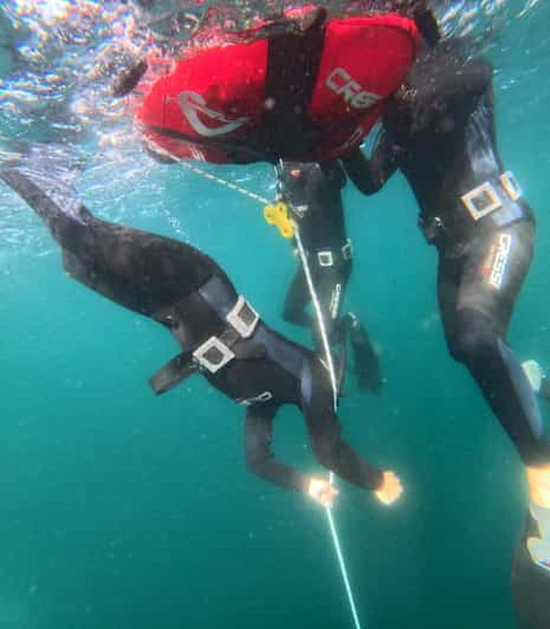 Groix : Stage Apnée 3 demi-journées / Plongée sous-marine