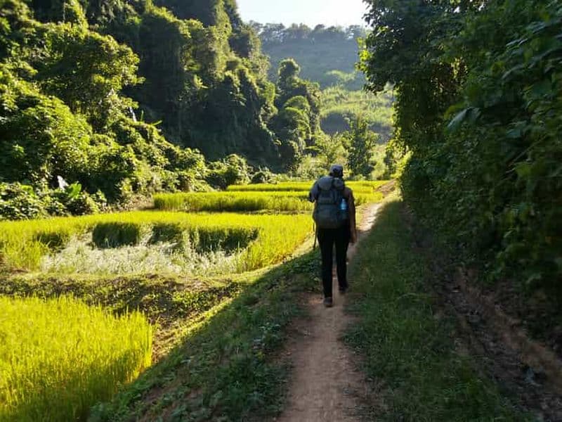 Luang Prabang : 3 jours de randonnée culturelle à distance avec hébergement chez l'habitant