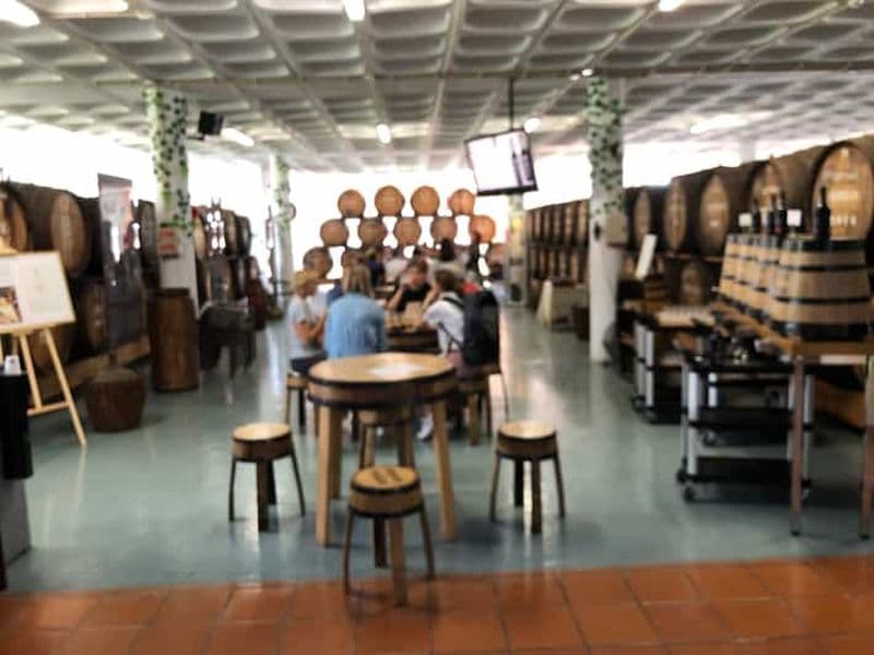 Depuis Funchal : excursion en Jeep à toit ouvert avec dégustation de vin de Madère